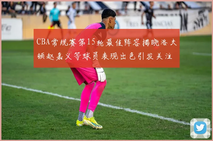CBA常规赛第15轮最佳阵容揭晓洛夫顿赵嘉义等球员表现出色引发关注