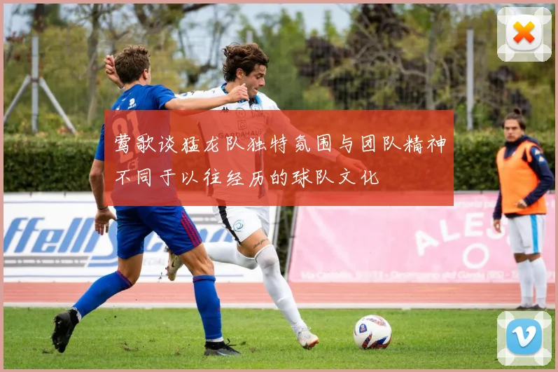 莺歌谈猛龙队独特氛围与团队精神不同于以往经历的球队文化